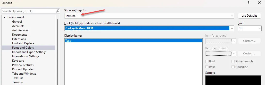 NerdFontVisualStudio